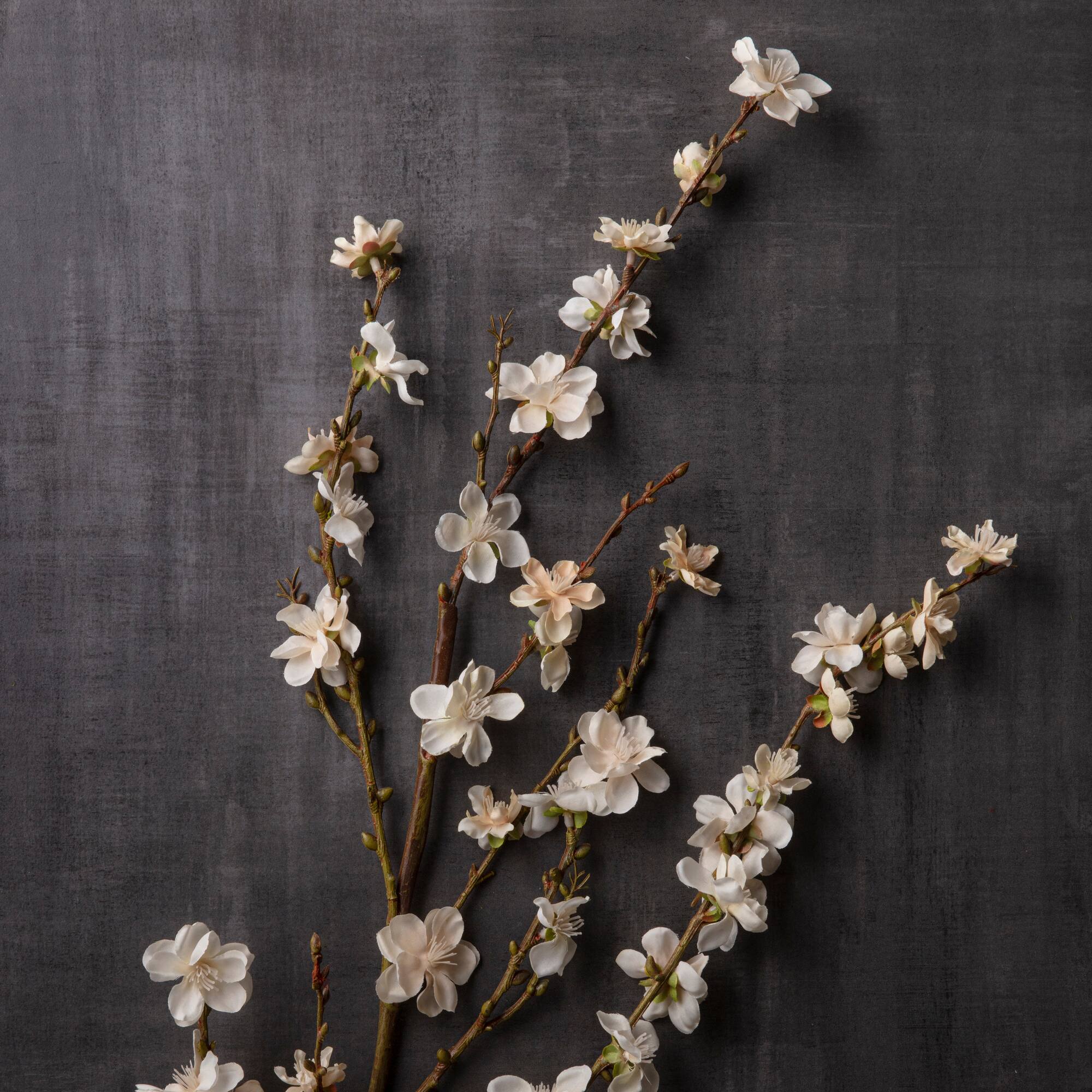 12 Pack: Cream Peach Blossom Stem by Ashland®